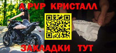 спайс Кингисепп