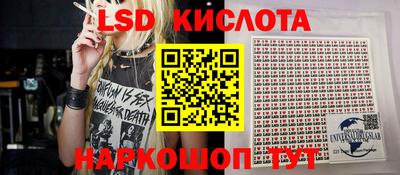 бошки Кимры