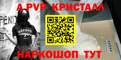 спайс Кингисепп