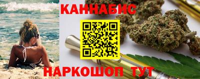 спайс Кингисепп