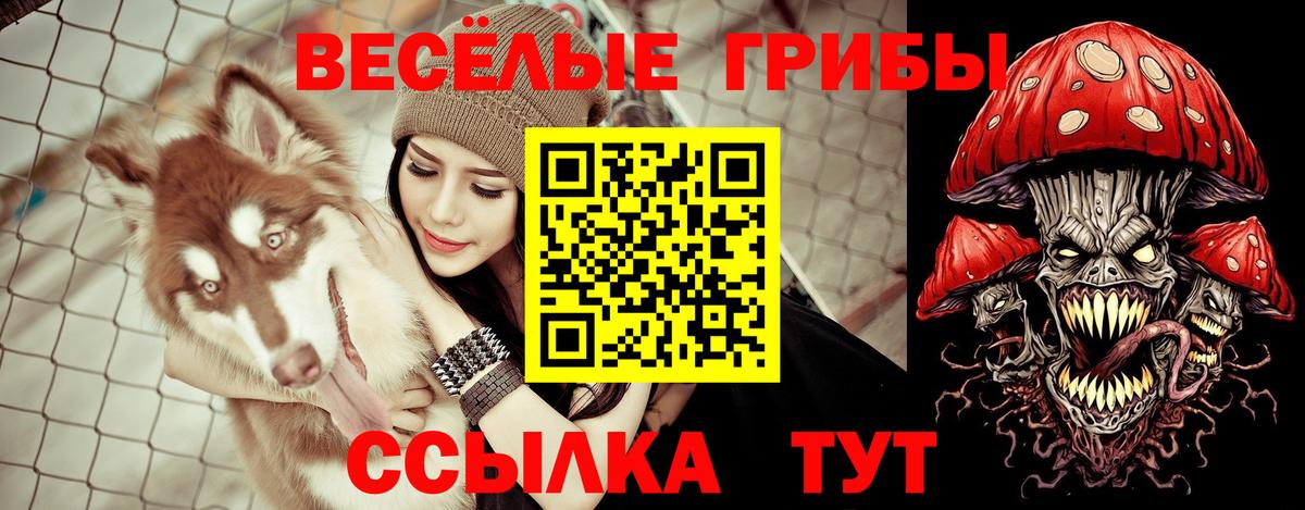 Красноуфимск  Псилоцибиновые грибы Cubensis  Вход с VPN 