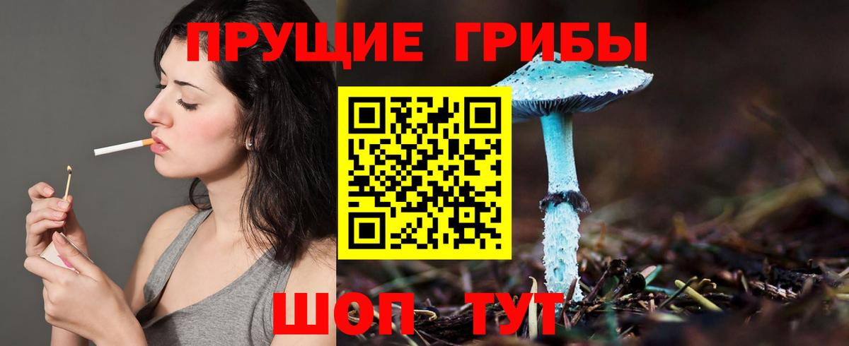 Галлюциногенные грибы GOLDEN TEACHER Красноуфимск